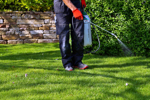 Reliable Weirton, WV Pest Control Solutions